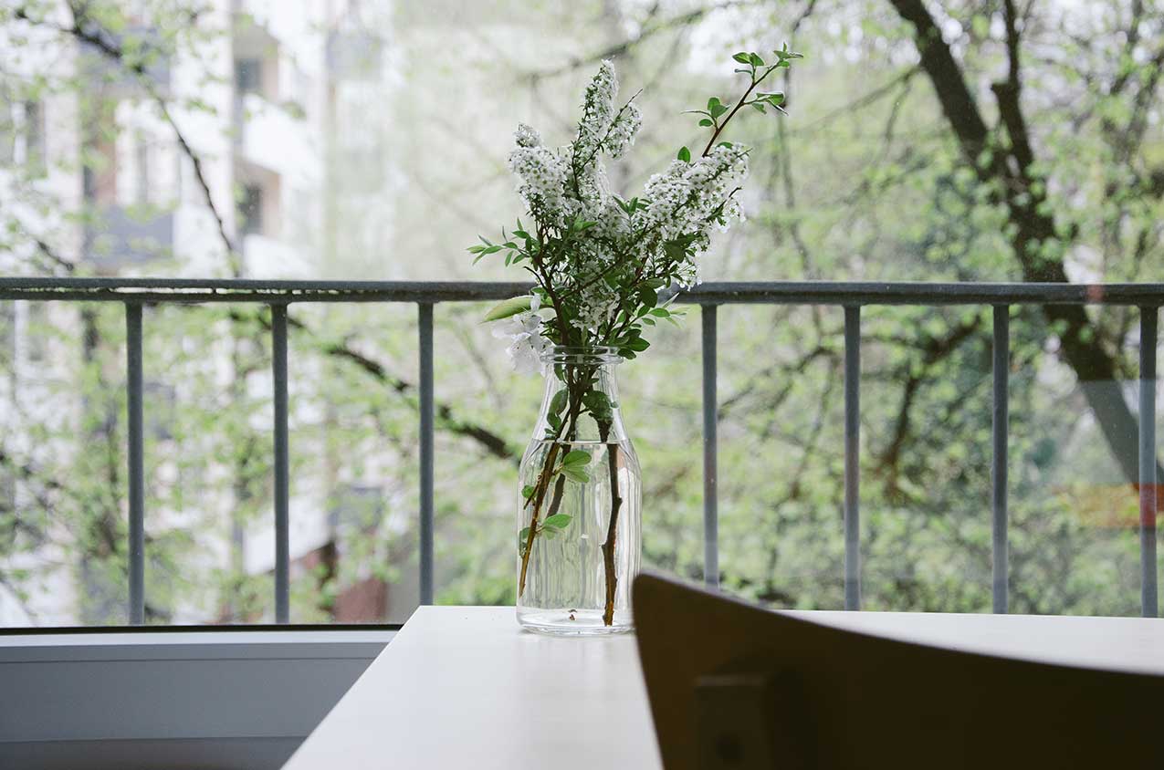 Interior stylist plants inside a home