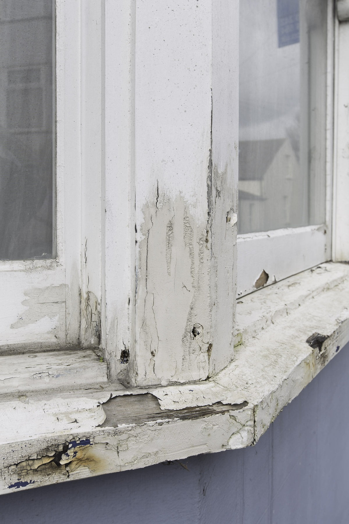 Save your sash windows with this how to guide by blogger Maxine Brady