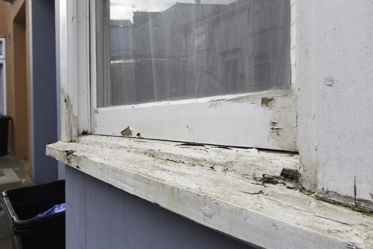 Save your sash windows with this how to guide by blogger Maxine Brady