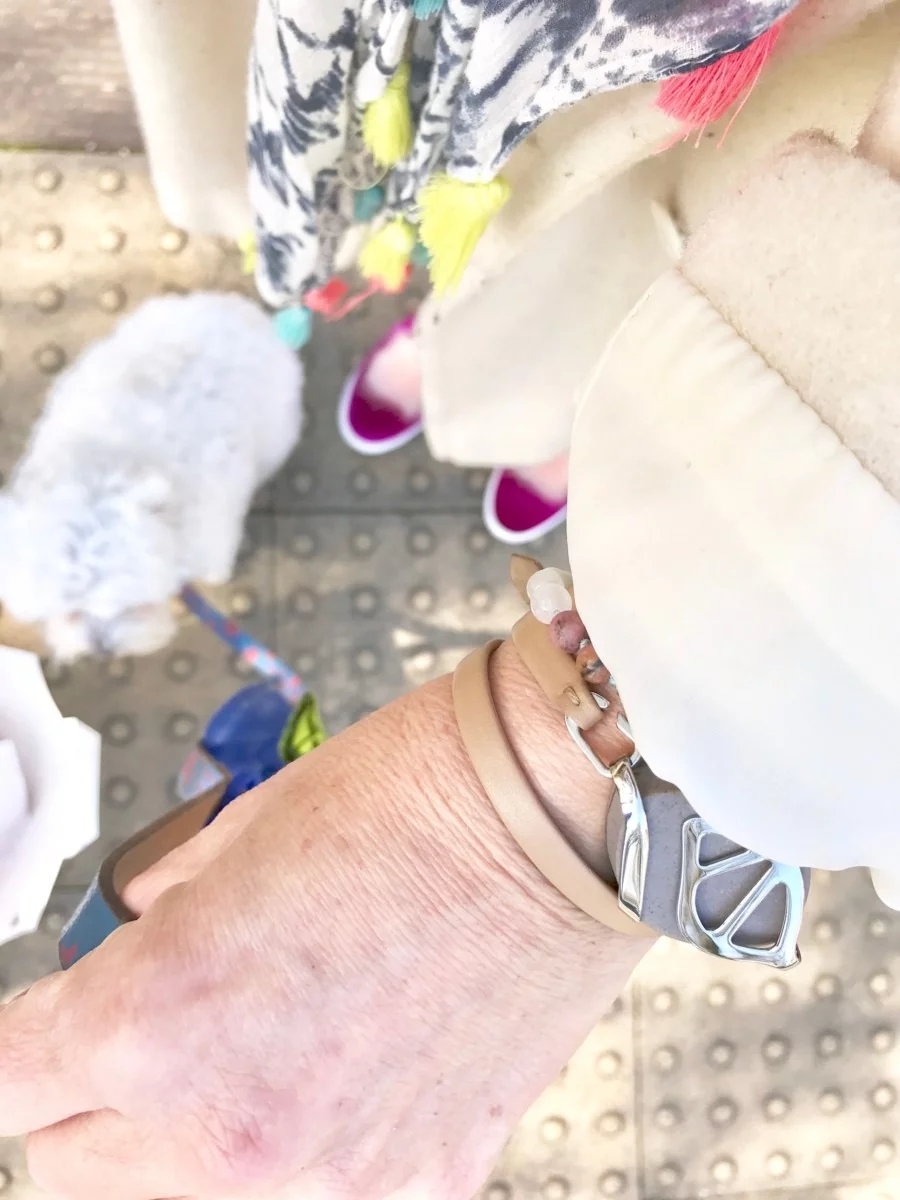 I wore a BellaBeat for a month and this is what happened by maxine brady from welovehomeblog