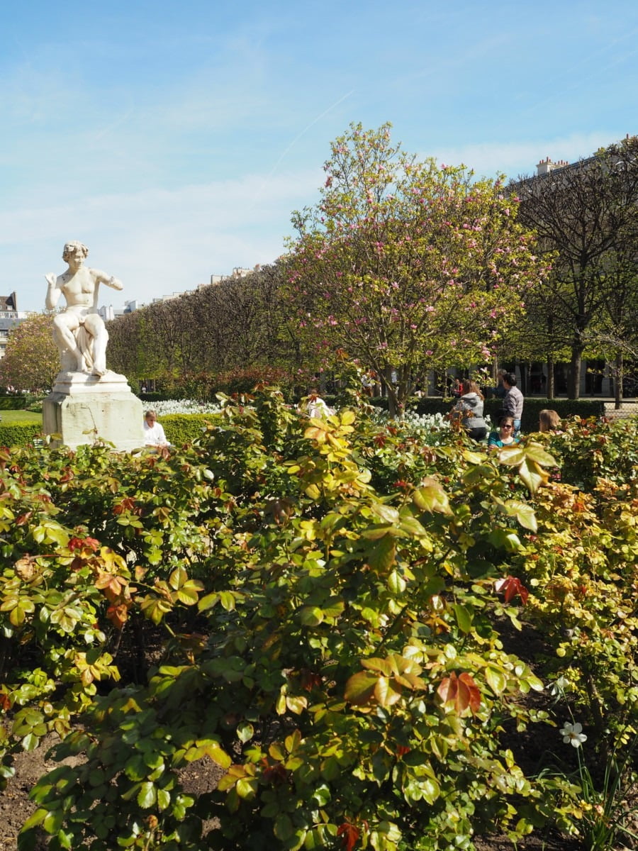 Beautiful garden in Paris