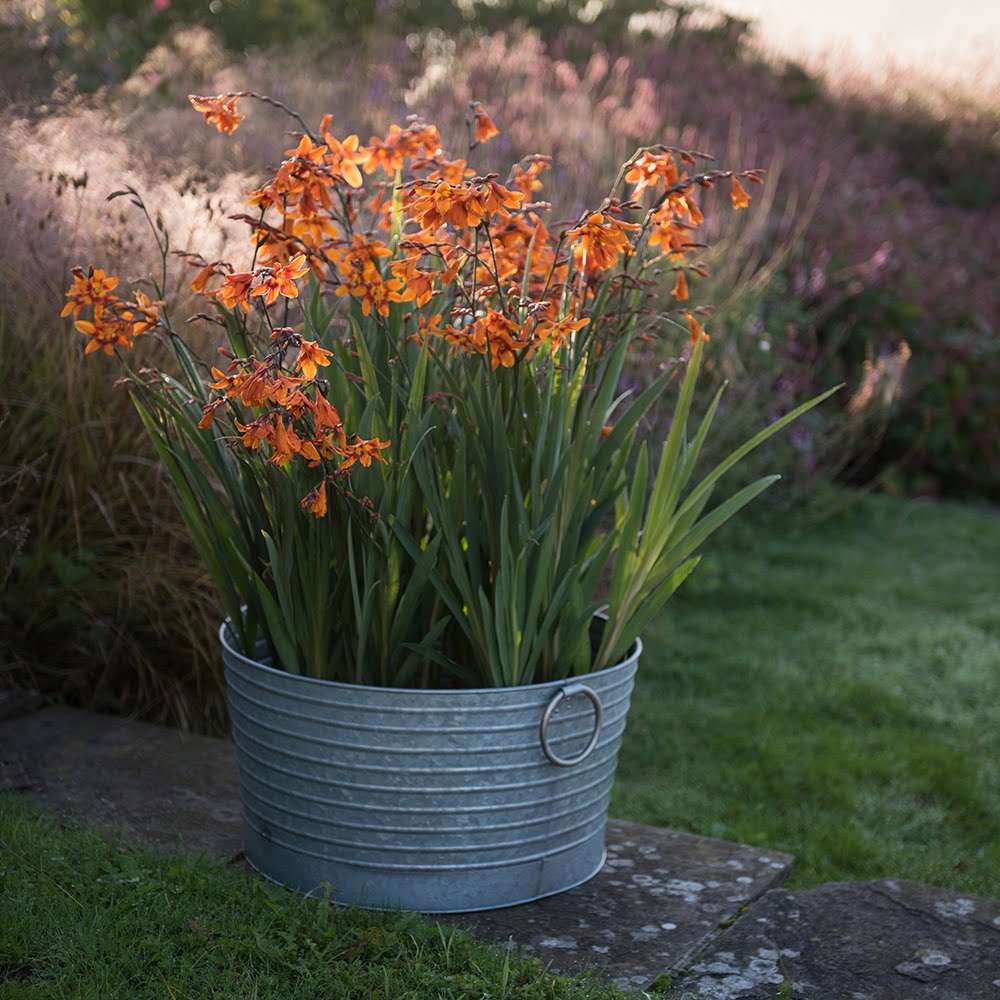 It doesn't matter what the size of your outdoor space is - from a small patio to a window box - there are lots of clever styling tricks to make your small garden feel spacious, so you can make the most of it all year long. By interior stylist and blogger Maxine Brady www.welovehomeblog.com www.maxinebrady.com