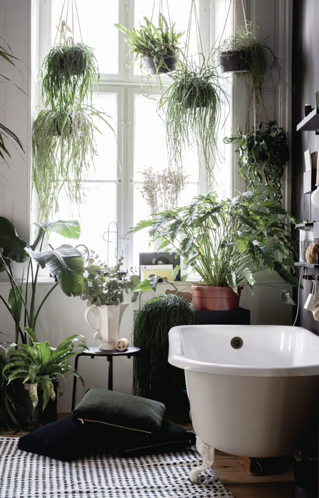 Looking to renovate your bathroom? STOP! Discover the Top 5 Bathroom Trends for 2020 before your choose your design says Interior Stylist Maxie Brady