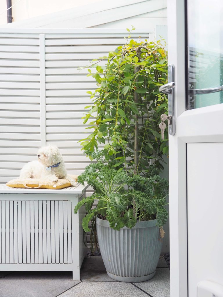 garden table, painted outdoor furniture, english garden. modern fencing