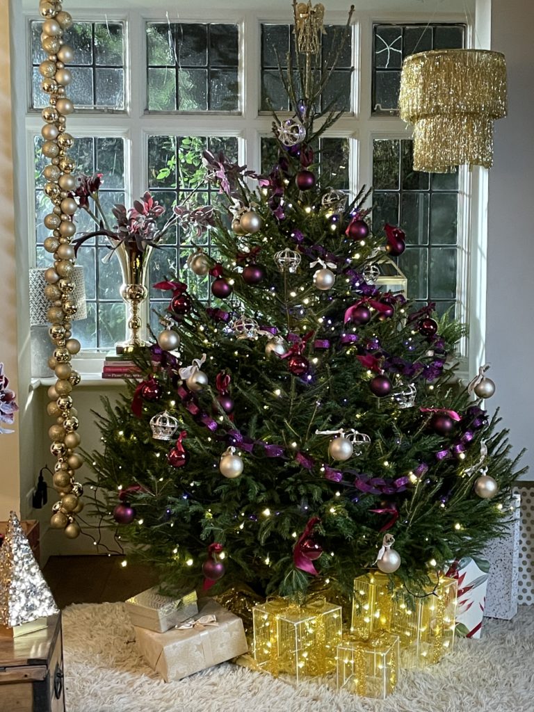 My latest Christmas TV Show is now Live on C5 - Incredible Christmas Tree & How To Style Them Says Interior Stylist Maxine Brady