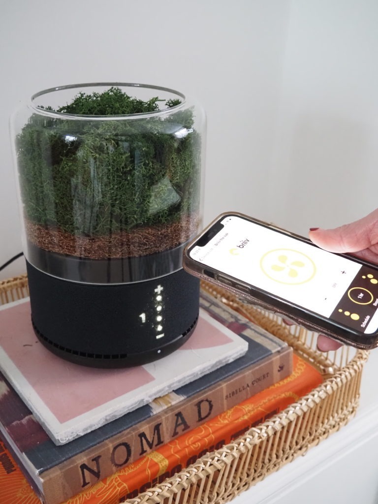 The world's most sustainable air purifier, the Briiv Air Filter harnesses the power of plants to clean the air in your home says interior stylist Maxine Brady