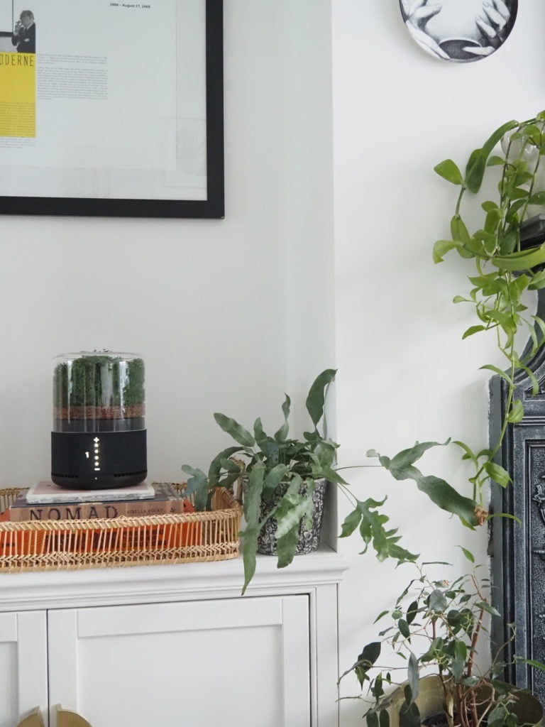 The world's most sustainable air purifier, the Briiv Air Filter harnesses the power of plants to clean the air in your home says interior stylist Maxine Brady