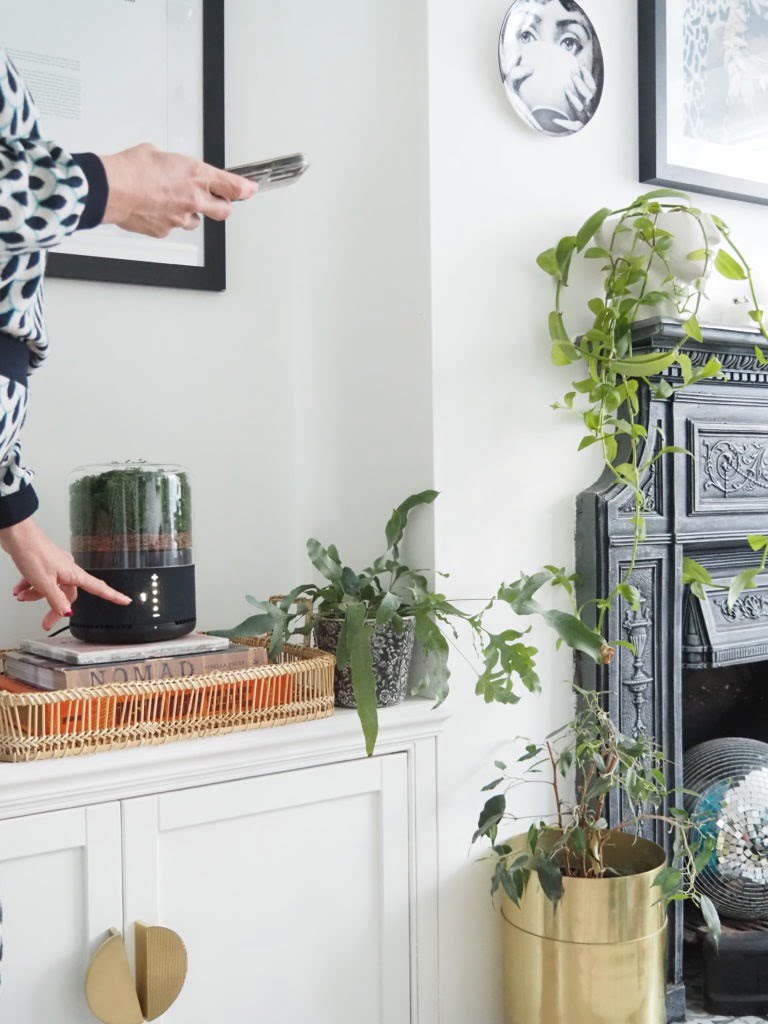 The world's most sustainable air purifier, the Briiv Air Filter harnesses the power of plants to clean the air in your home says interior stylist Maxine Brady