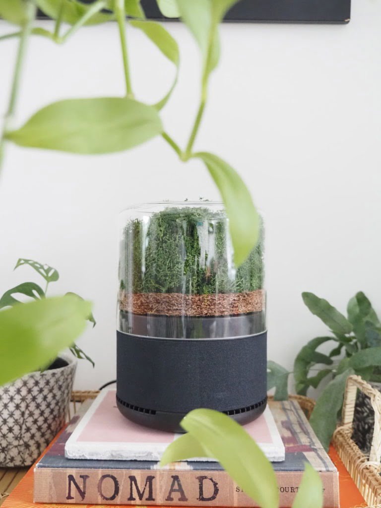 The world's most sustainable air purifier, the Briiv air filter harnesses the power of plants to clean the air in your home says interior stylist Maxine Brady