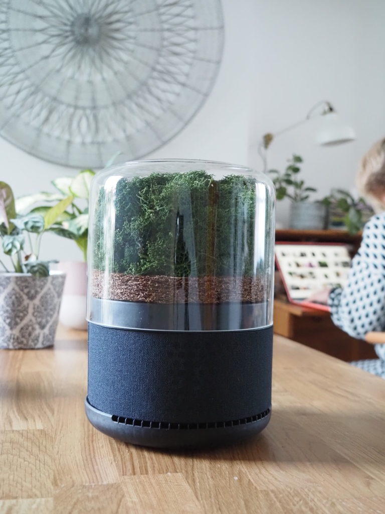 The world's most sustainable air purifier, the Briiv Air Filter harnesses the power of plants to clean the air in your home says interior stylist Maxine Brady
