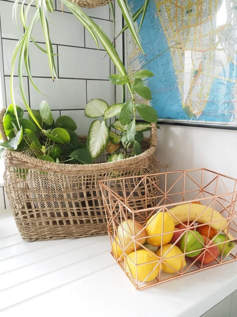 Fruit and vegetable storage : decorative storage solutions