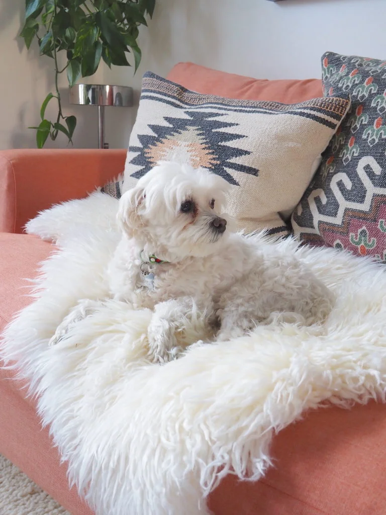 10 Ways To Use Sheepskin Rugs - Jacobs & Dalton