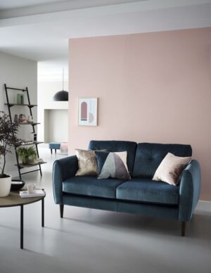 The Best Pet & Family-Friendly Sofas You Can Buy Now | Maxine Brady ...