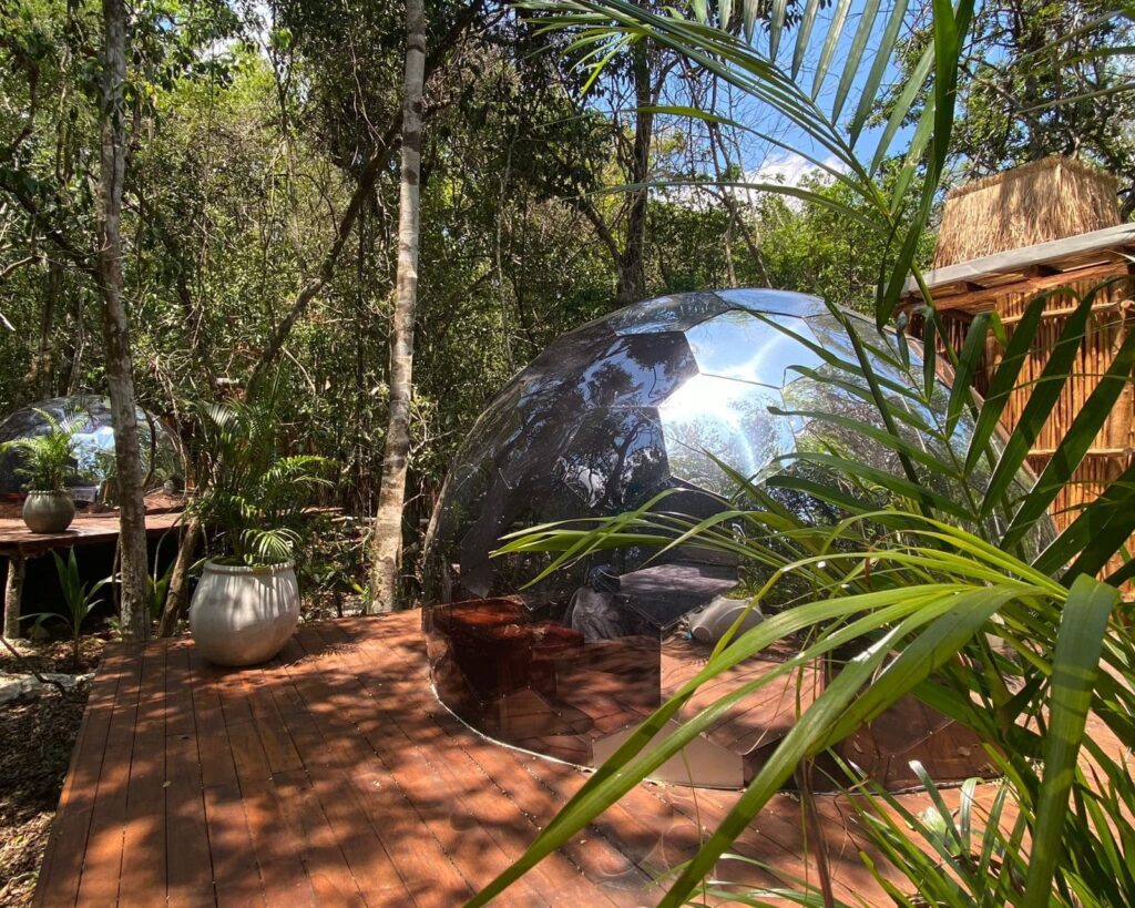 7 best garden igloos 2022: The transparent domes to transform your outdoor  space