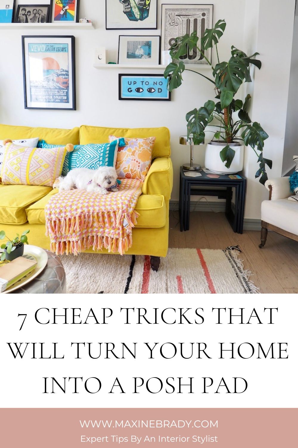 Want to give your home a luxury look without spending a penny? Then try out my cheap tricks that will turn your home into a lush space! 