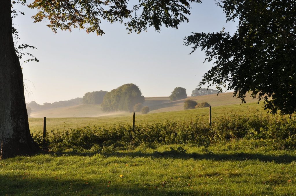 If the days of soggy tents and hangovers are behind you but you’re still looking for an festival where you can find yourself, then Verve Festival set in the gorgeous British countryside could be the answer says interior stylist Maxine Brady