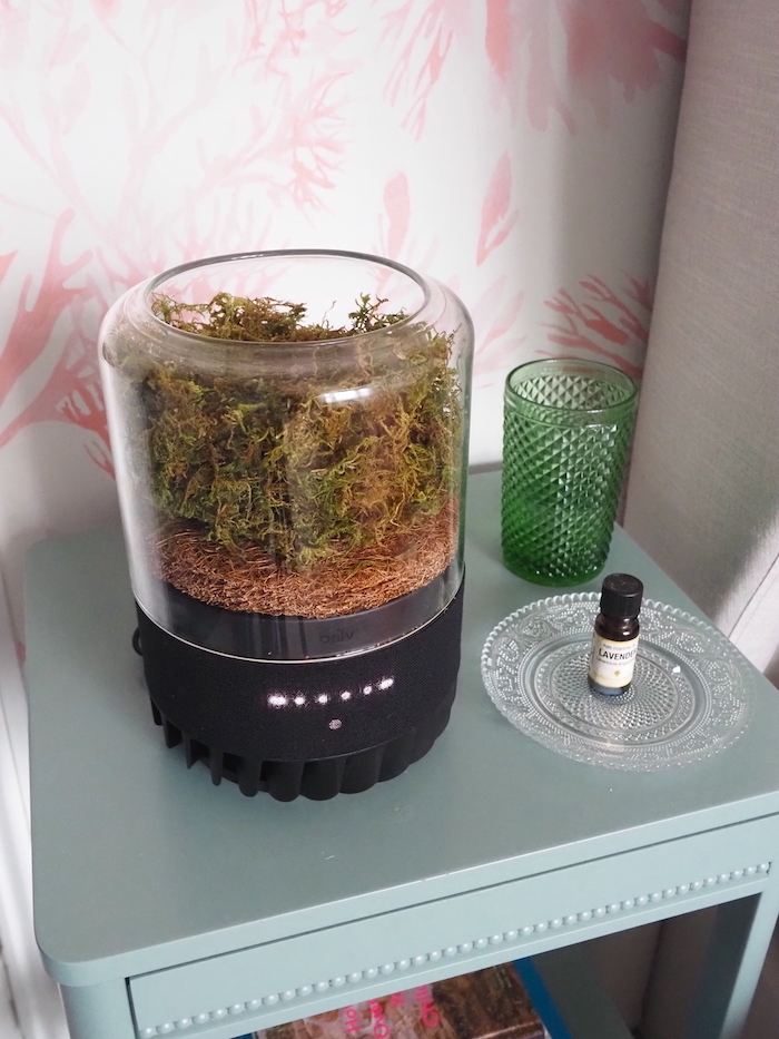 In this post, I’m going to give you my honest review of the recently launched Briiv 2 Pro, an eco-friendly air purifier powered by moss! Yes, moss!