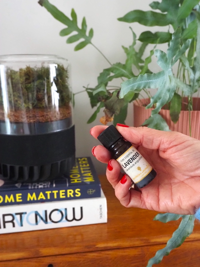 In this post, I’m going to give you my honest review of the recently launched Briiv 2 Pro, an eco-friendly air purifier powered by moss! Yes, moss!