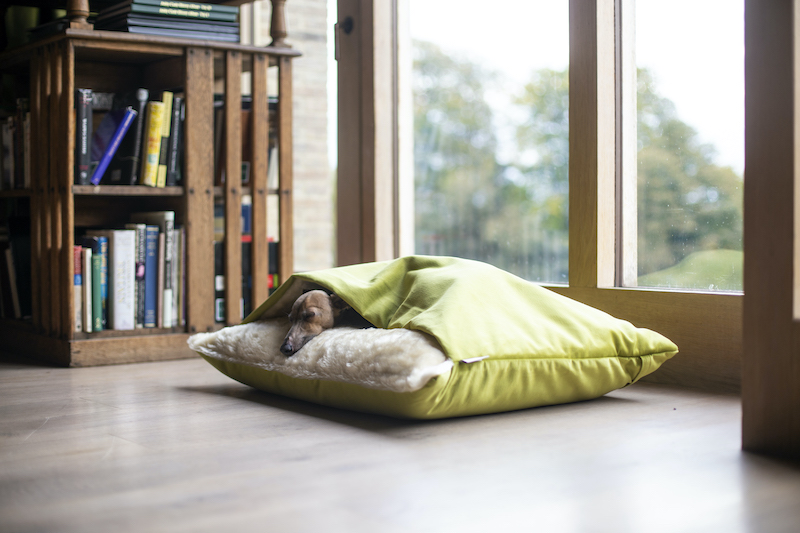 Whether you’ve got playful pups or curious kitties underfoot, engineered wood flooring lets you have both style and function in your home.