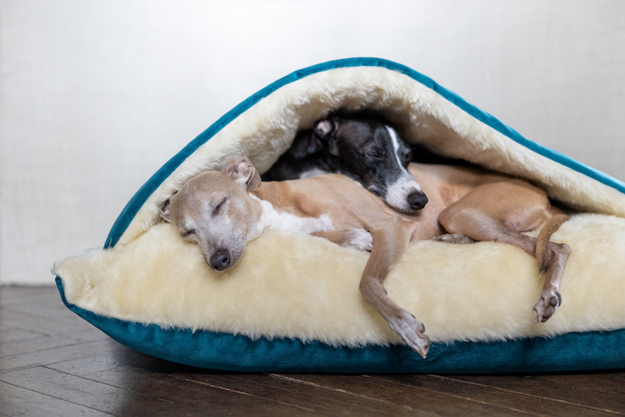 Whether you’ve got playful pups or curious kitties underfoot, engineered wood flooring lets you have both style and function in your home.