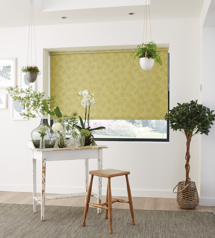 Interior stylist Maxine Brady explains the difference between fixed windows and picture windows with her pros and cons and lots of visual inspiration too so you can choose the right one for your home renovation.