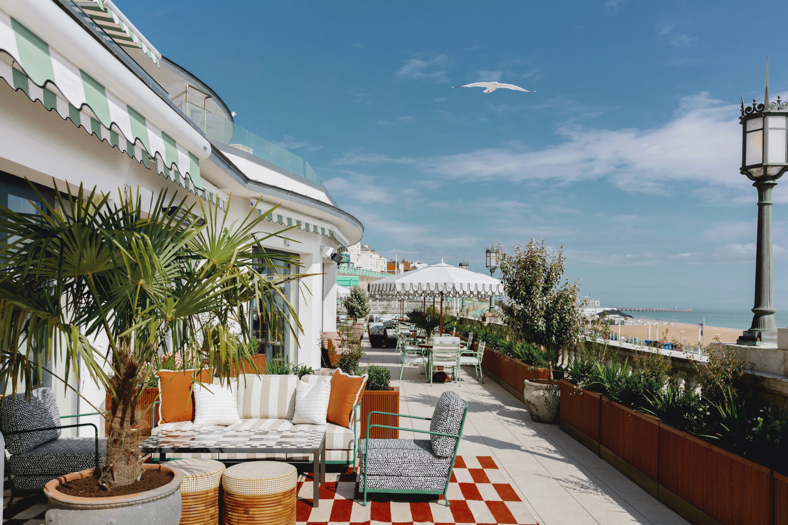 As Brighton local. here are 12 of my favourites, from leafy courtyards to proper rooftop bars with sea views. 